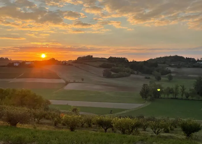 Azienda Agricola Tenuta Del Barone Bauernhof *