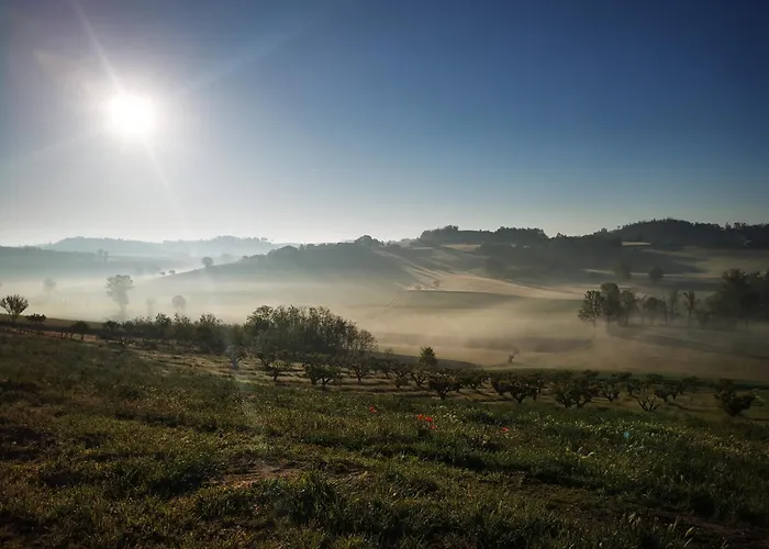 Azienda Agricola Tenuta Del Barone ファームステイ Calliano