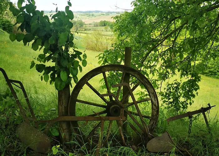 Azienda Agricola Tenuta Del Barone Bauernhof